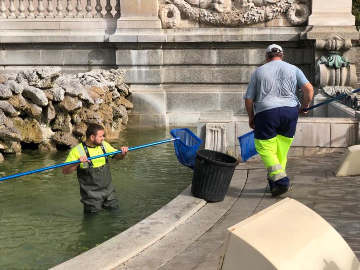 Gyakornokokat szerződtettek