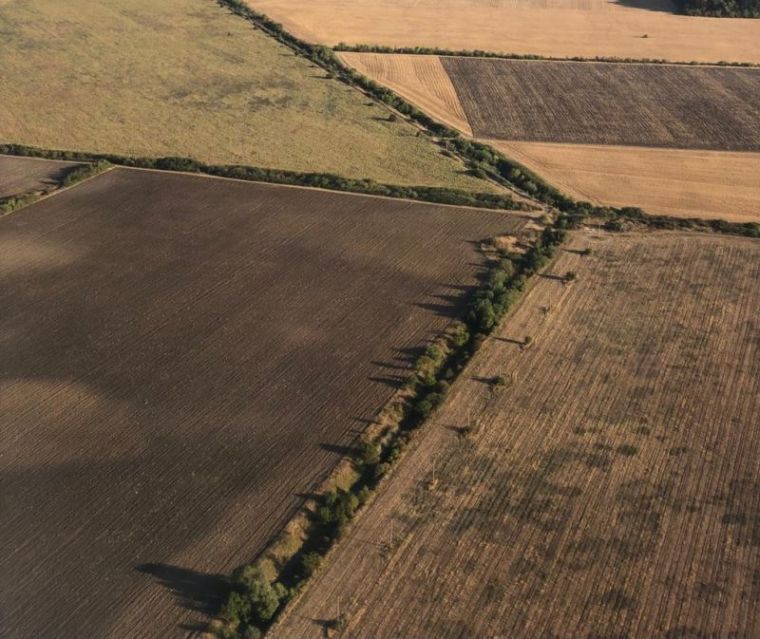 Online lehet meghirdetni az eladó termőföldeket