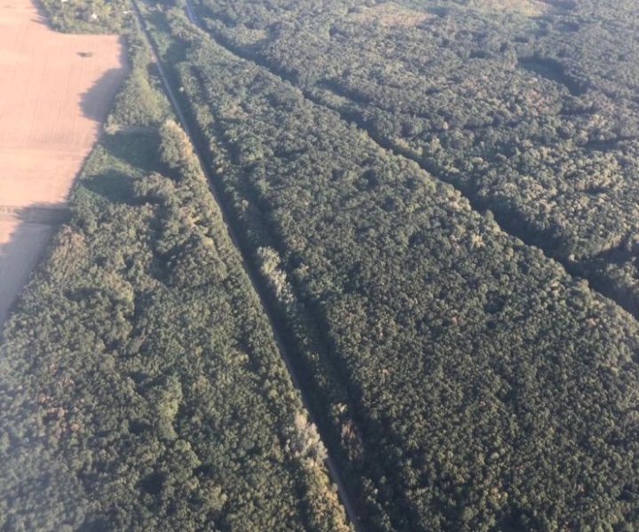 Jelentősen visszaesett az erdőirtás az Amazonas-vidéken