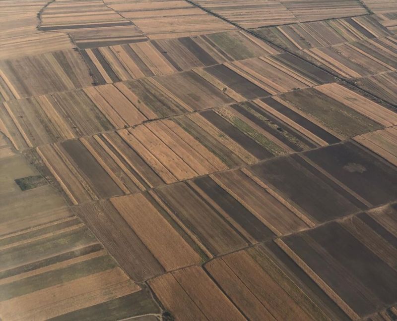 Az agrárminiszter jó mezőgazdasági évre számít