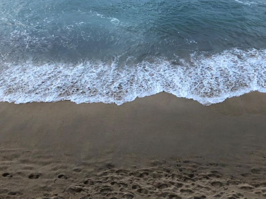 A korallzátonyok 84 százalékát érinti a tömeges korallfehéredés