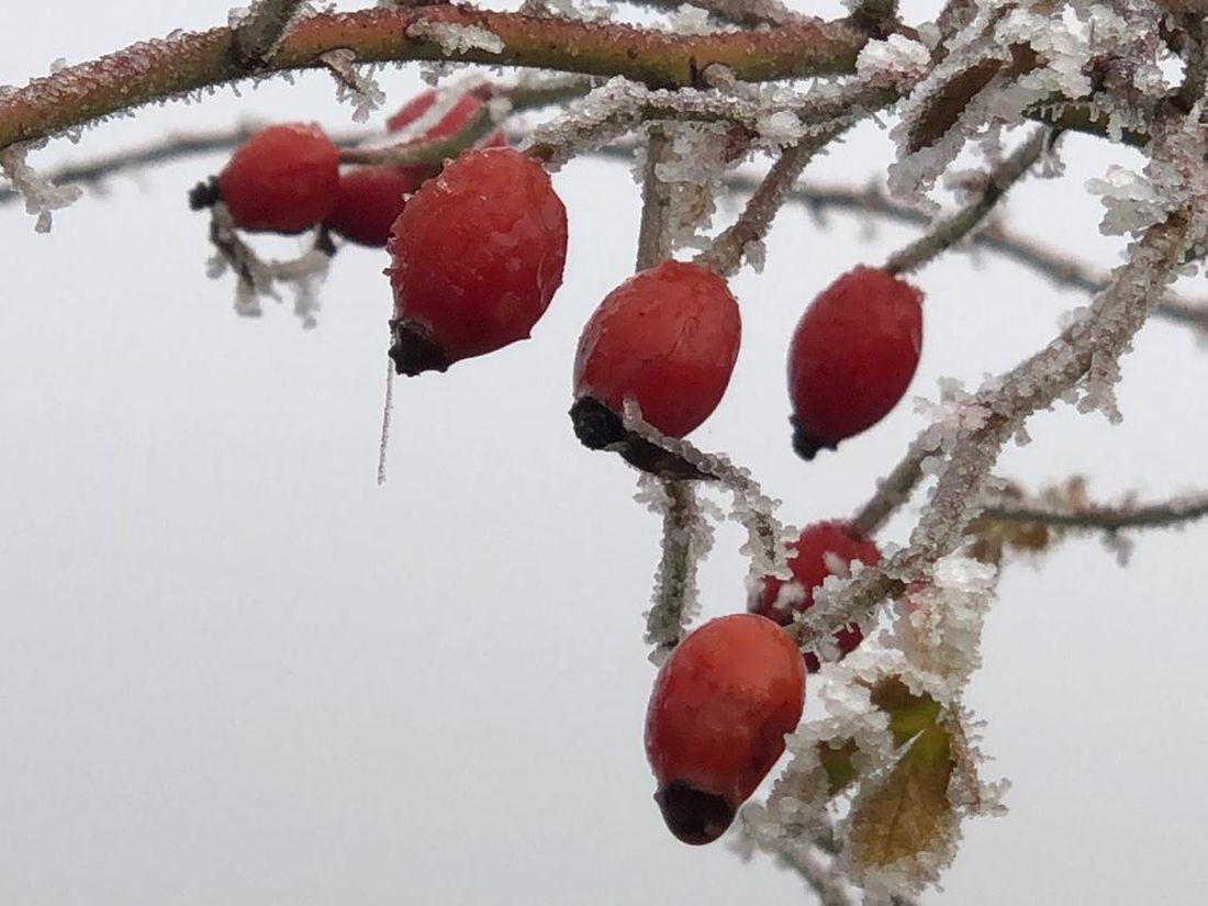 Véget ért a téli vakáció
