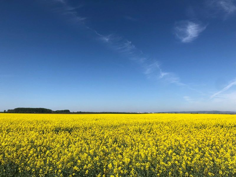 A gazdák javára döntött az Európai Parlament