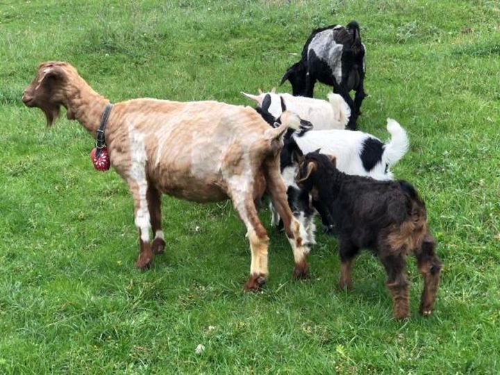 Utalják a pénzt a gazdáknak