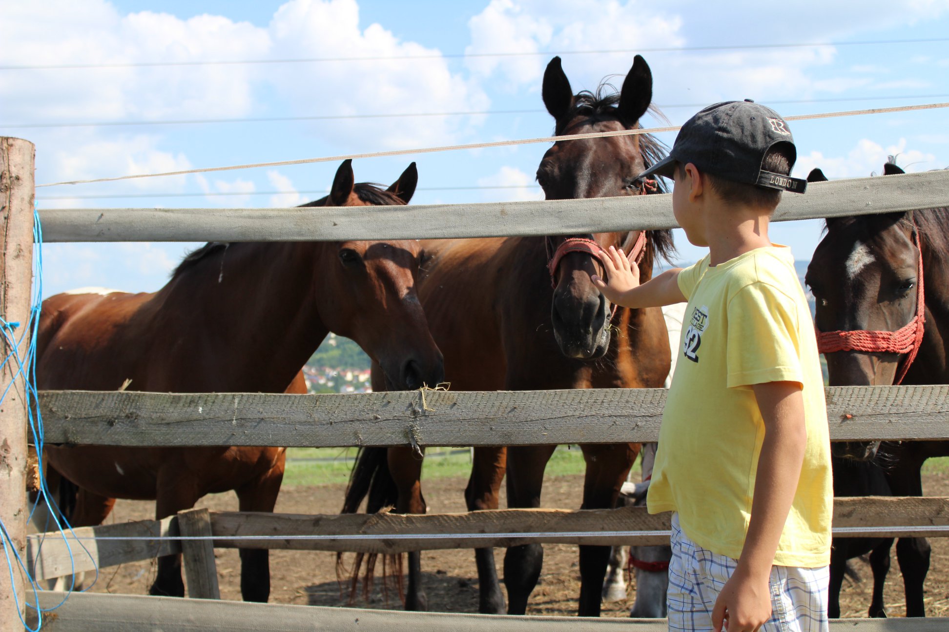 Nyári táborok Kolozsváron
