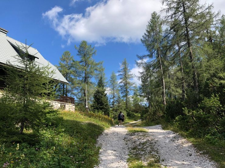 Előbújtak a keresztes viperák