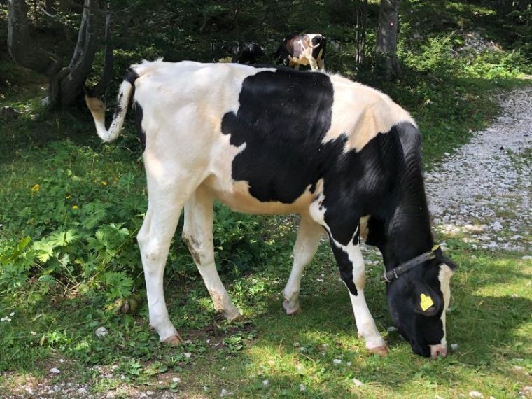 Találkozót kérnek az államfőtől a gazdák
