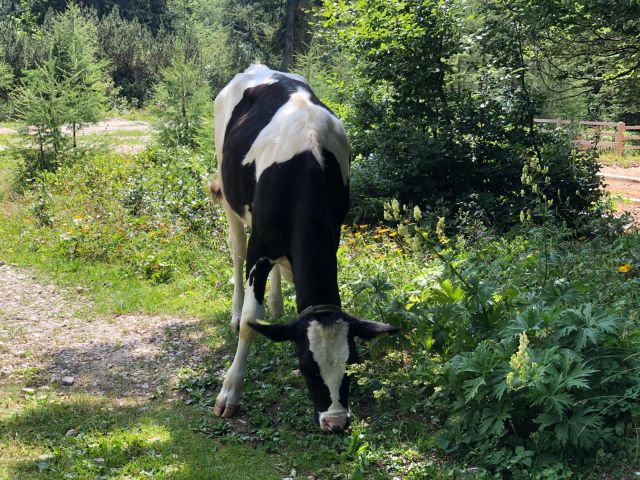 Állami támogatás a gazdáknak