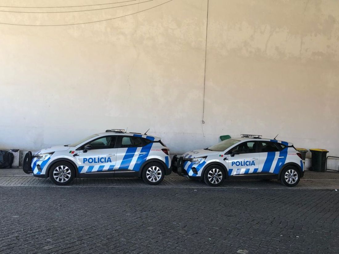 Tizenkét európai elfogatóparancsot hajtott végre a Román Rendőrség