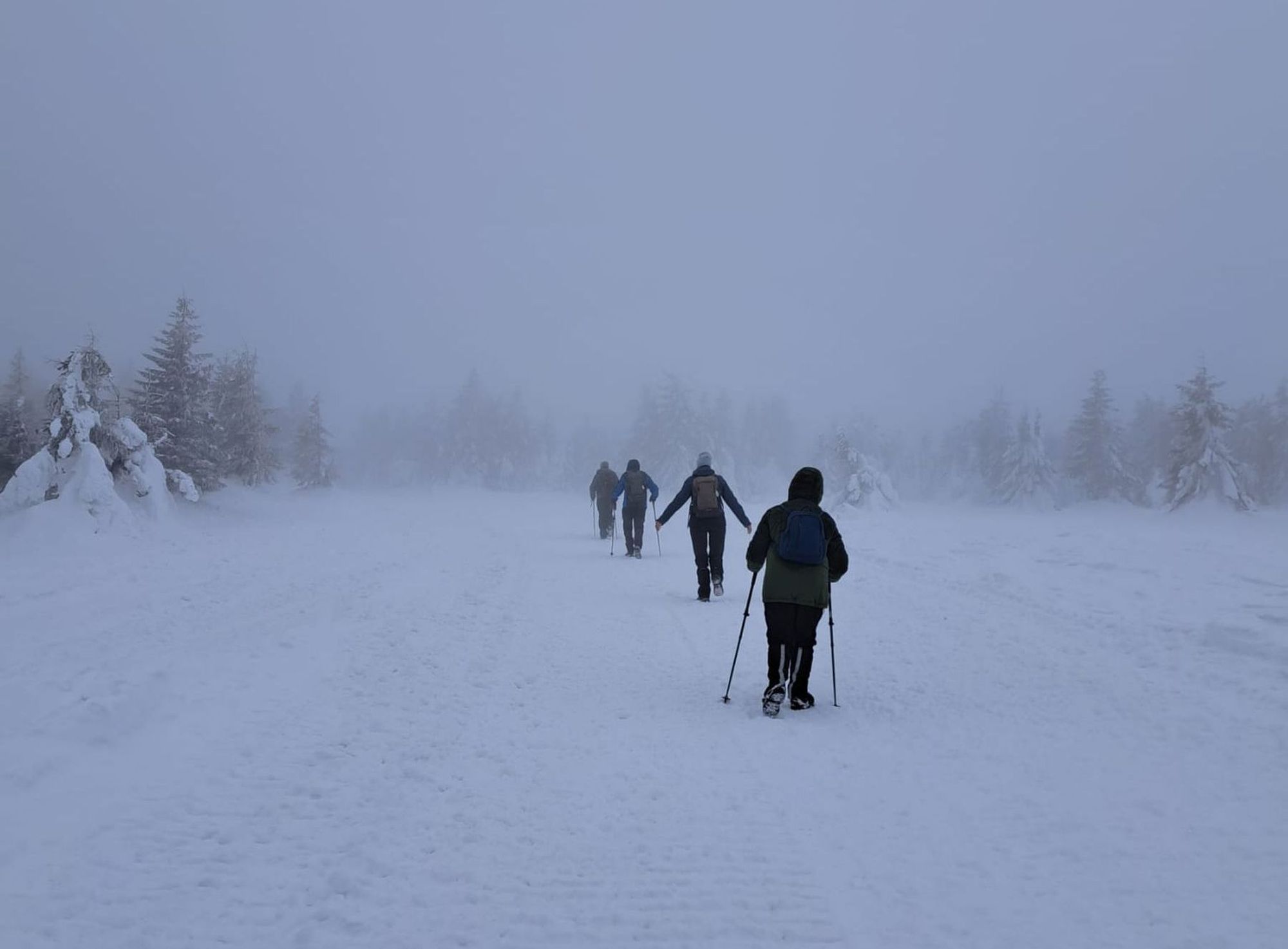 Heves széllökésekre, helyenként hóviharokra figyelmeztetnek a meteorológusok