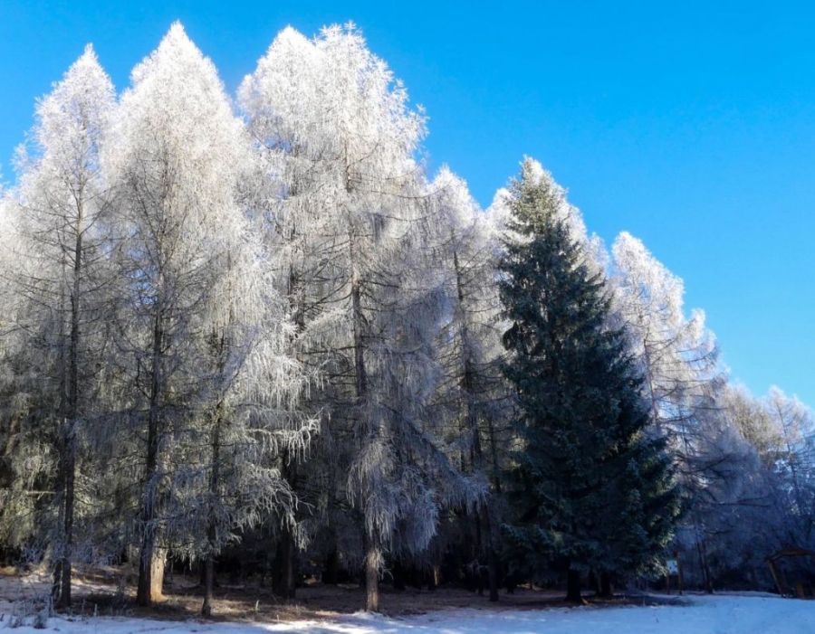 Hidegre számíthatunk ezen a héten is