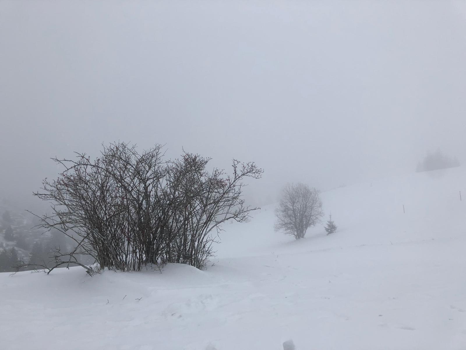 Téli időjárásra számíthatunk karácsonykor