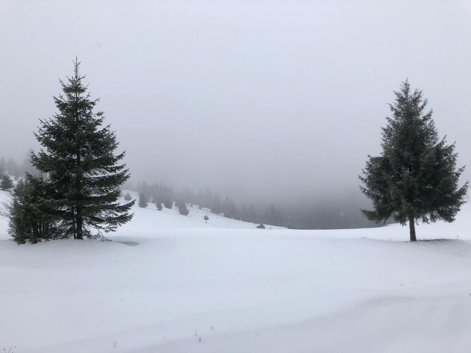 Erős szél várható a Körösök vidékétől Máramarosig