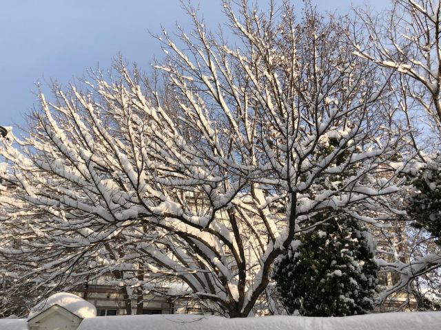 Az ember és a természet elemeinek összjátéka