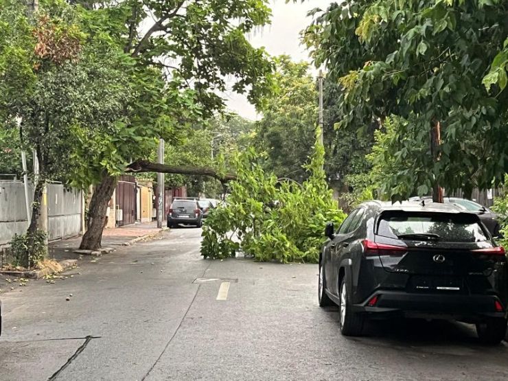 Tizenhat megye 32 településén okozott károkat a vihar az elmúlt 24 órában