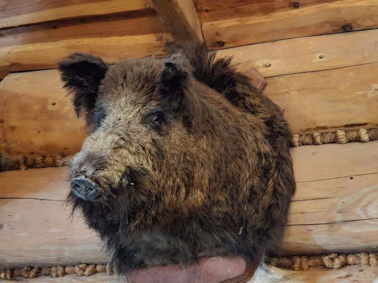 Csaknem 25 millió lej összegű támogatást hagyott jóvá a Környezetvédelmi Alap Igazgatósága