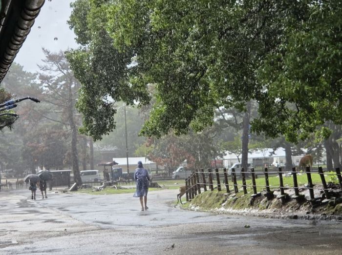 Washington államban százezer lakos is érintett lehet az evakuálásban