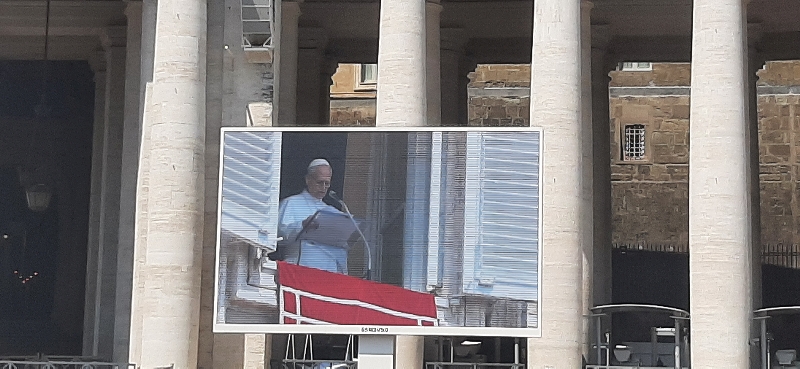 A pápa a politikai akarat hiányát bírálta a klímaválság kezelésében