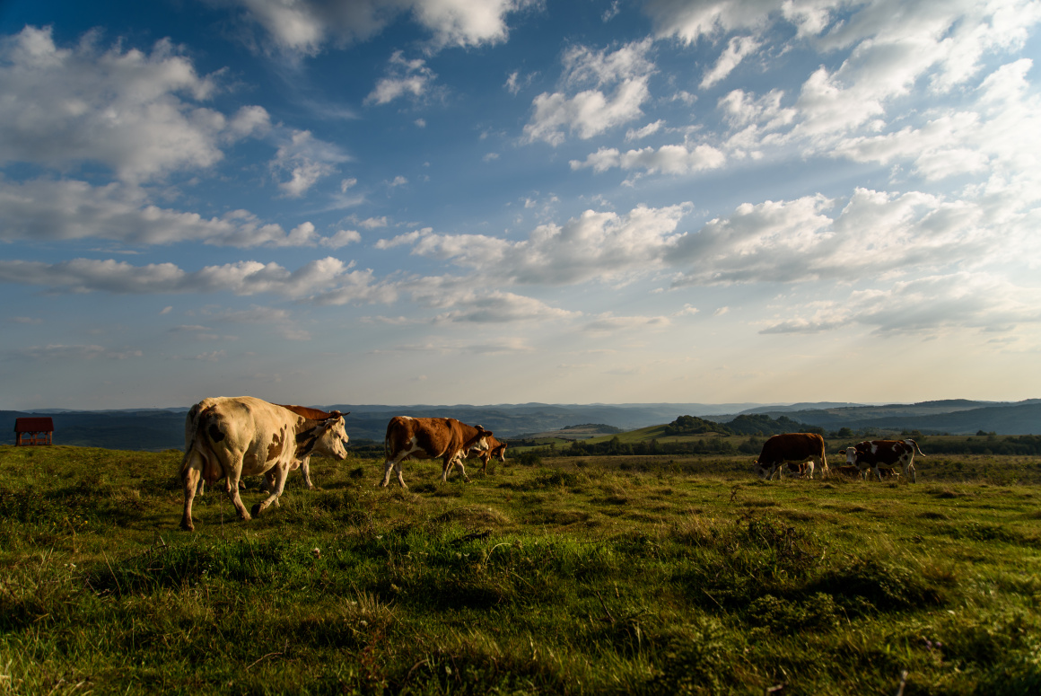 Kormányzati támogatások a mezőgazdaságnak