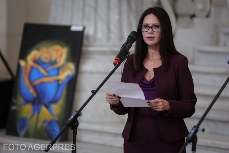 Nyugdíjba vonul Nicolae Ciucă kedvenc bírója