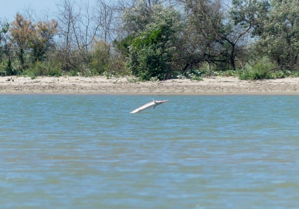 Kritikus szint közelében a Duna vízhozama