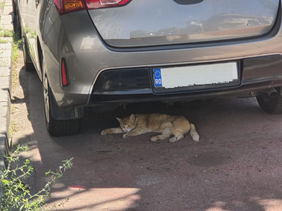 Változnak az adás-vételi szabályok