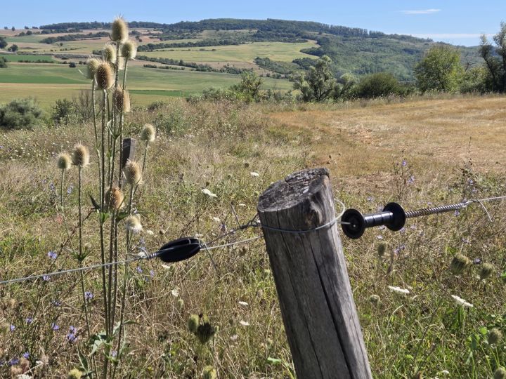 Érkeznek a mezőgazdasági támogatások